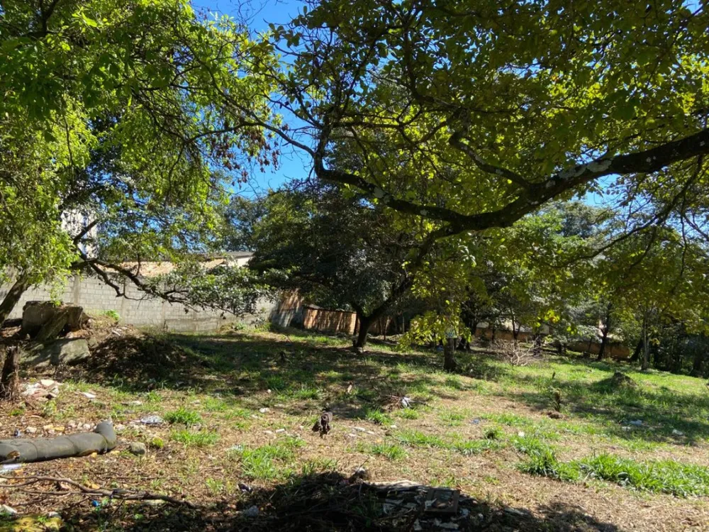 Terreno, 5140 m² - Foto 4
