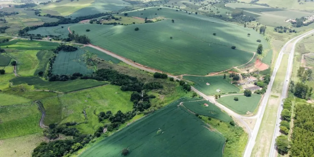 Fazenda, 122 hectares - Foto 8