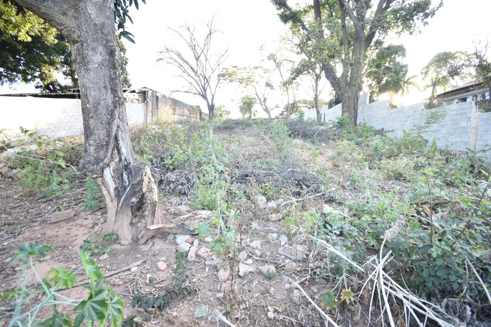 Terreno, 1000 m² - Foto 11