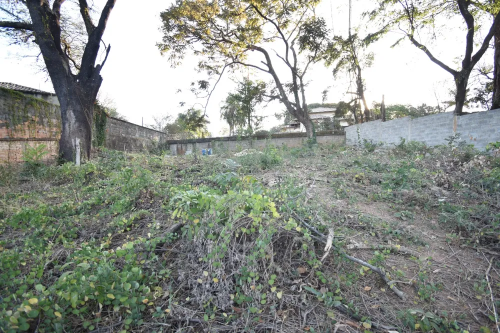 Terreno, 1000 m² - Foto 13