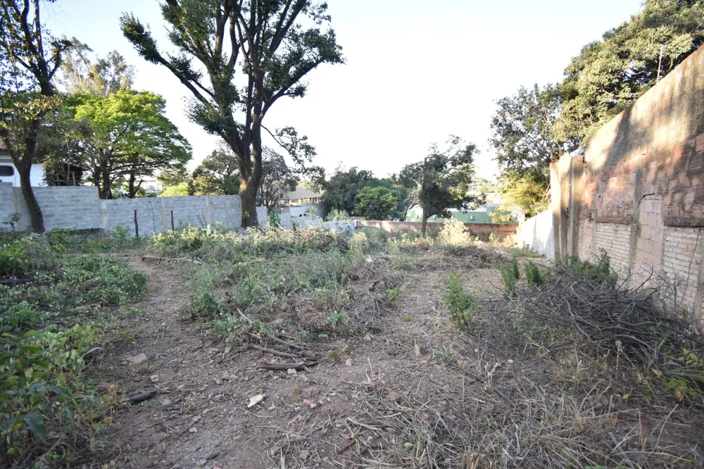 Terreno, 1000 m² - Foto 3