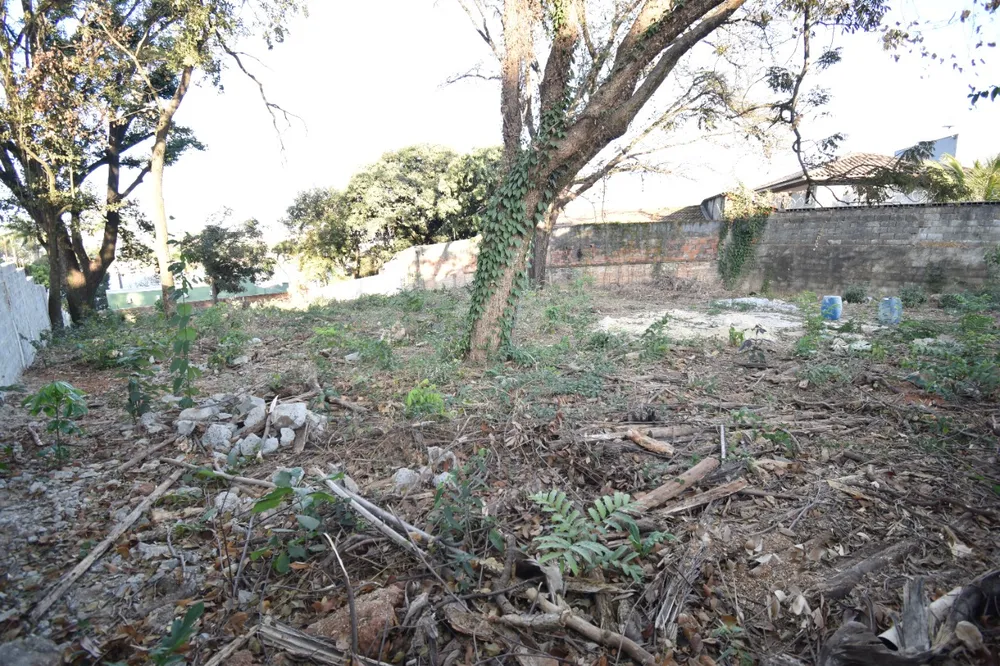 Terreno, 1000 m² - Foto 5