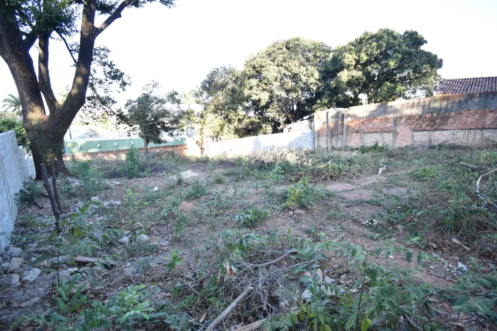 Terreno, 1000 m² - Foto 8