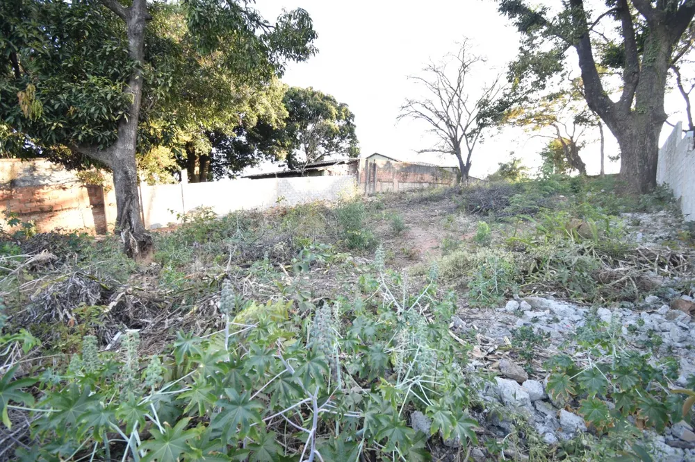 Terreno, 1000 m² - Foto 9
