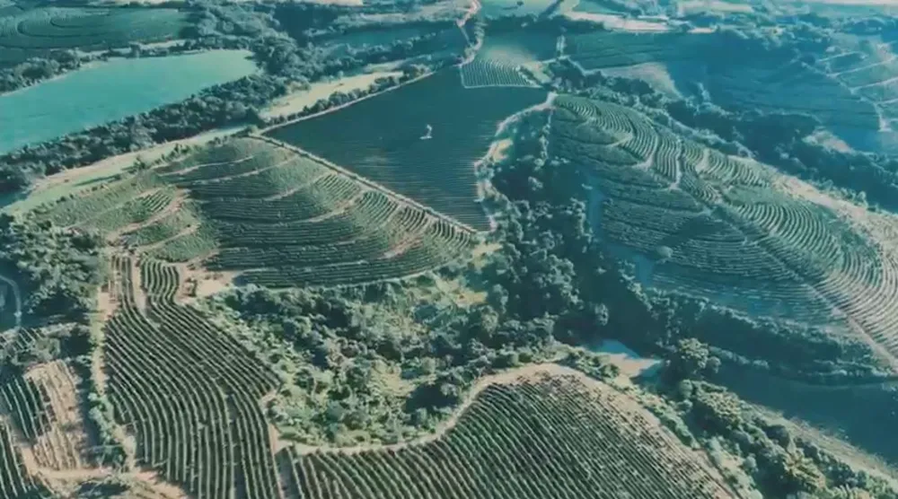 Fazenda, 239 hectares - Foto 12