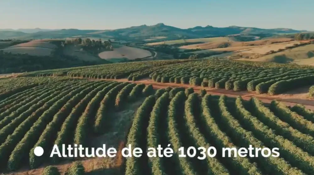 Fazenda, 239 hectares - Foto 6