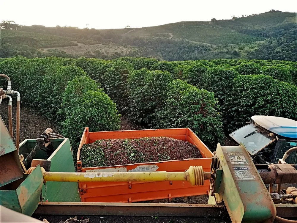 Fazenda, 239 hectares - Foto 16