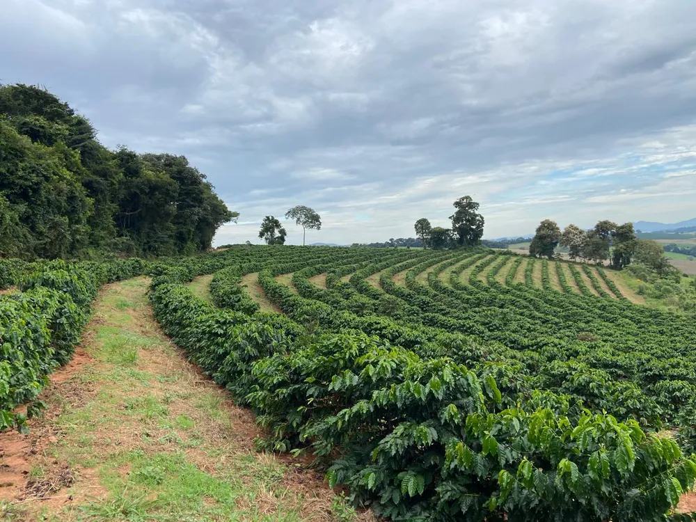 Fazenda, 4 quartos - Foto 1