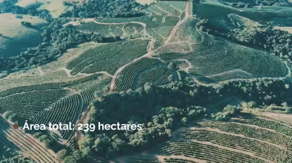 Fazenda, 239 hectares - Foto 8