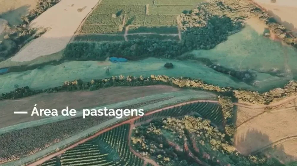 Fazenda, 239 hectares - Foto 9