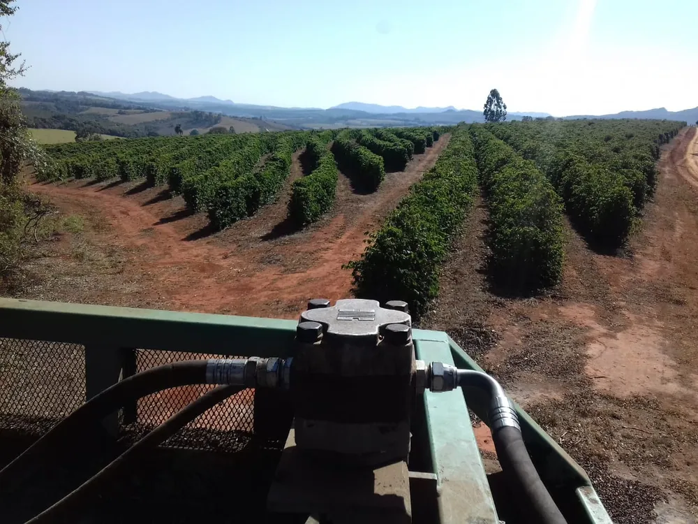 Fazenda, 239 hectares - Foto 6