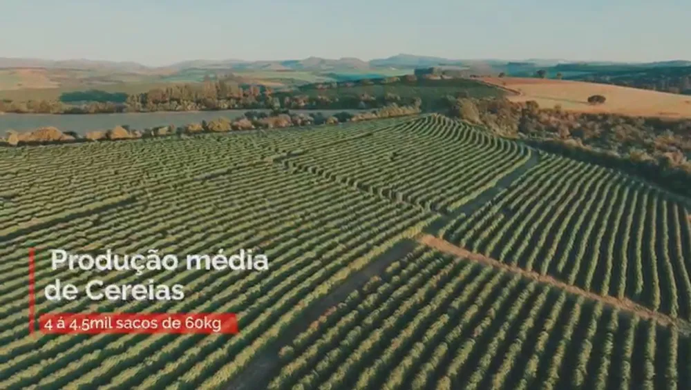 Fazenda, 4 quartos - Foto 4
