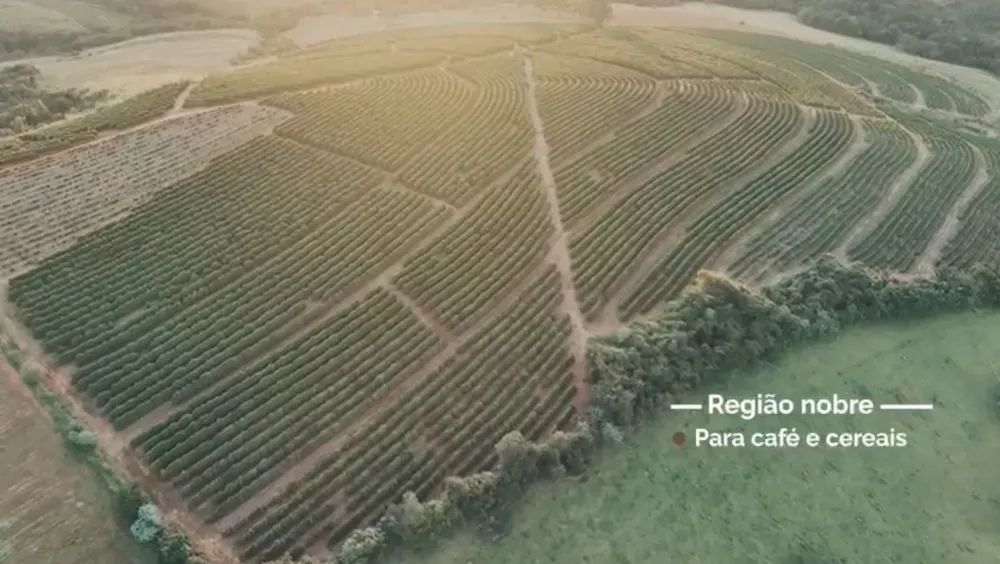 Fazenda, 239 hectares - Foto 11