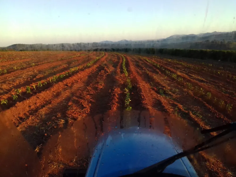 Fazenda, 239 hectares - Foto 12