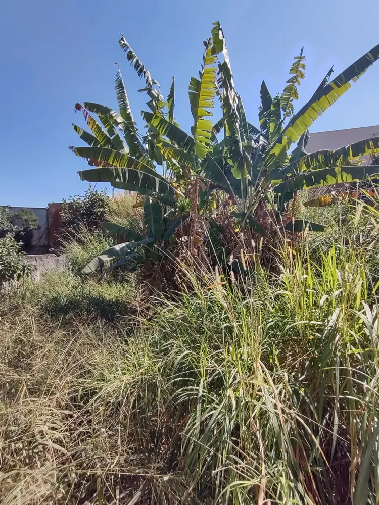Terreno, 360 m² - Foto 4