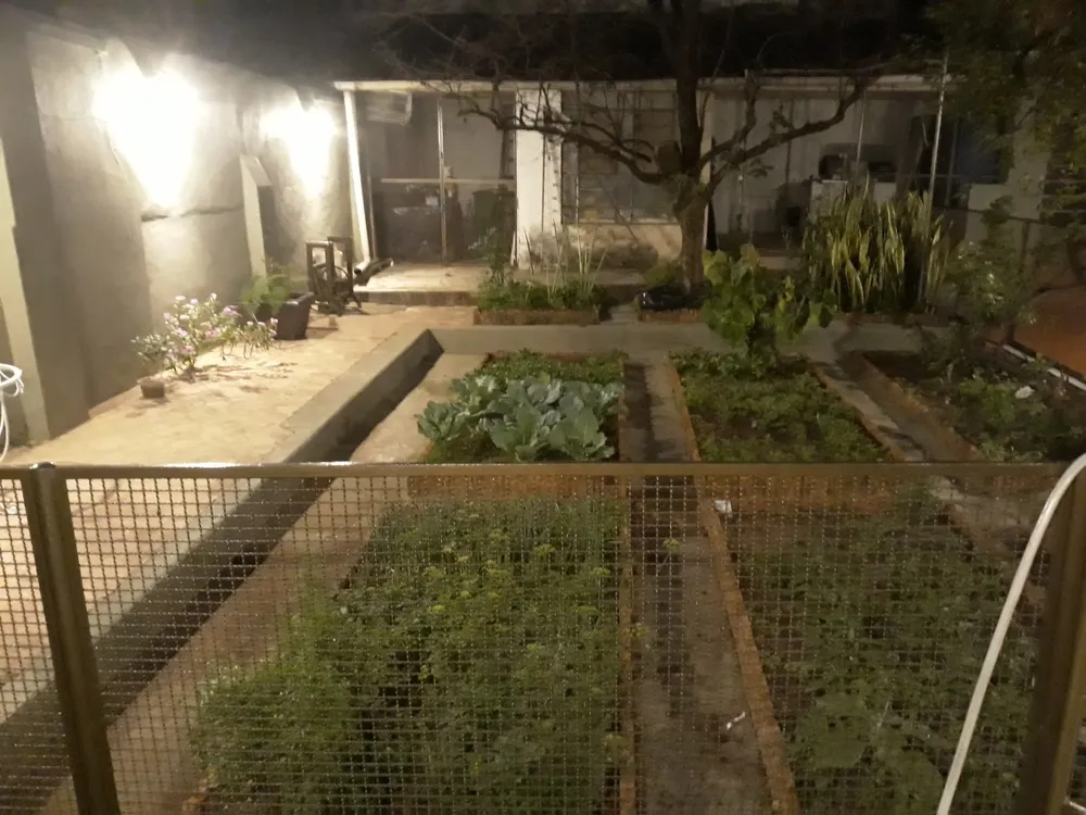 Loja-Salão, 388 m² - Foto 4