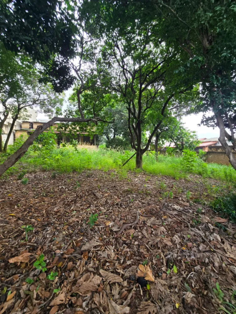 Terreno, 1444 m² - Foto 3