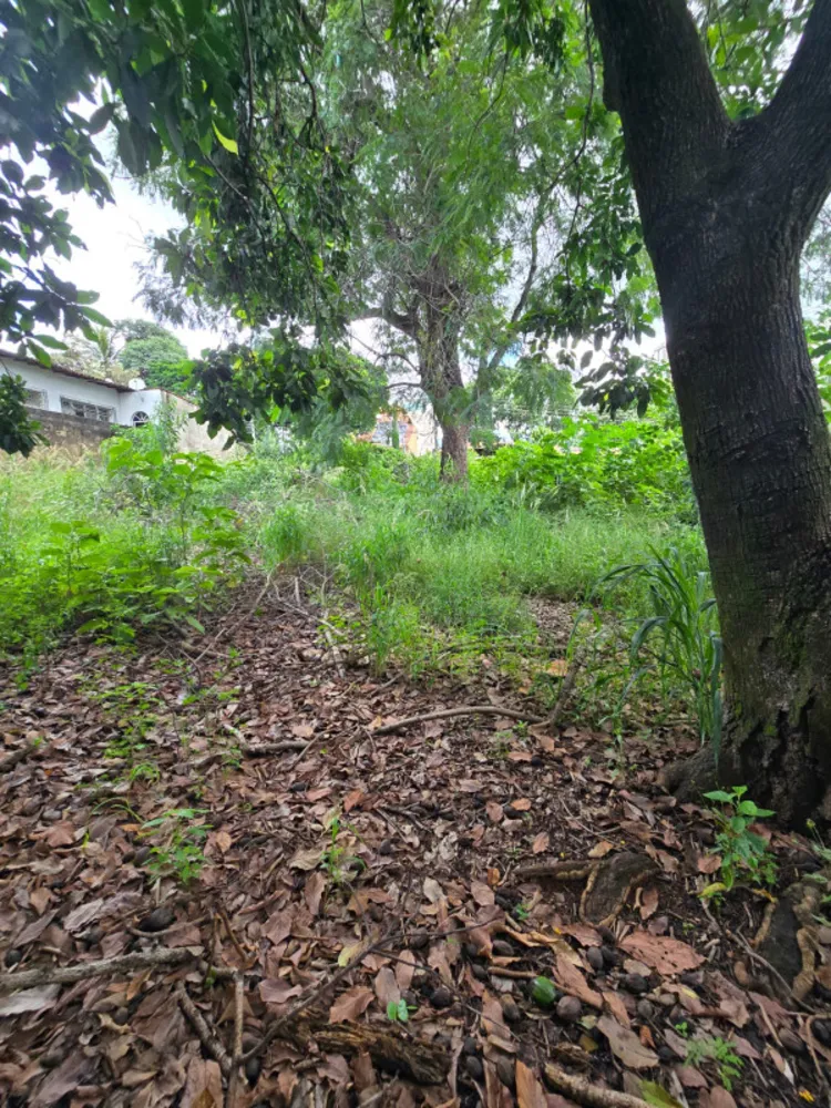 Terreno, 1444 m² - Foto 11