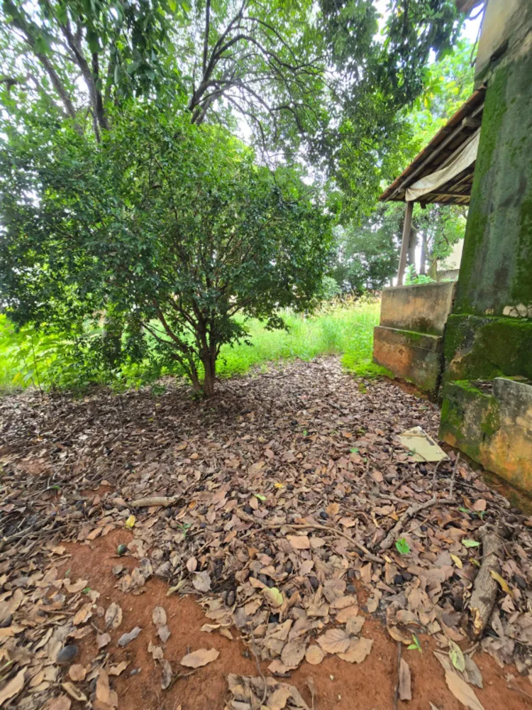 Terreno, 1444 m² - Foto 7