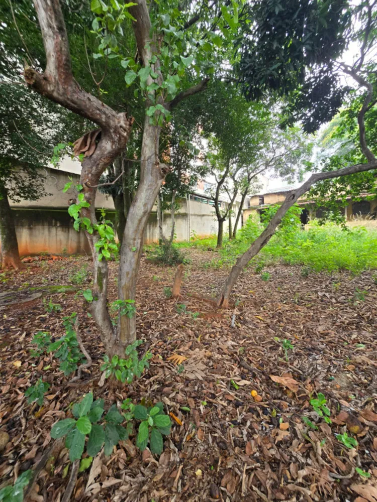 Terreno, 1444 m² - Foto 2