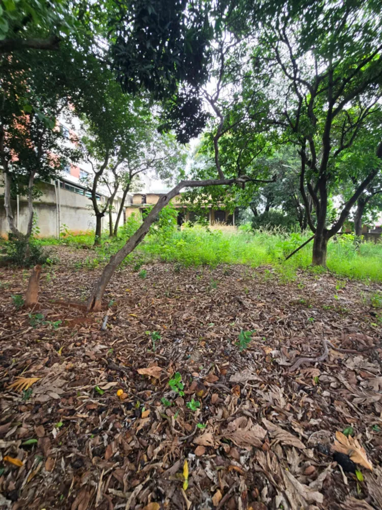Terreno, 1444 m² - Foto 6