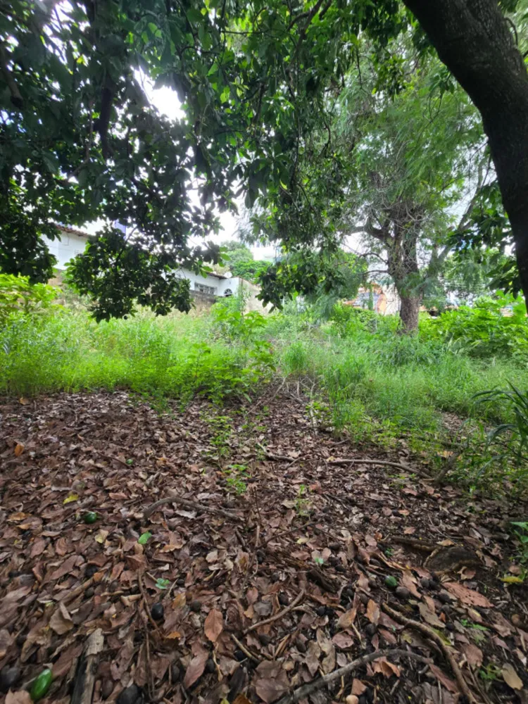 Terreno, 1444 m² - Foto 10