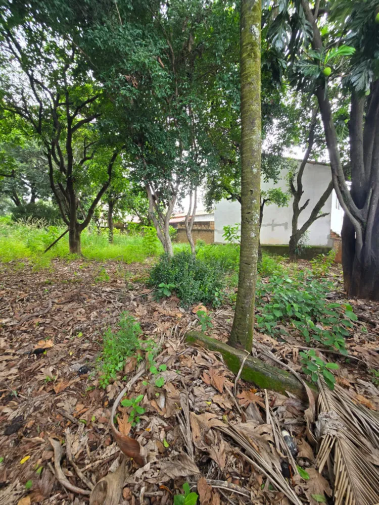 Terreno, 1444 m² - Foto 4