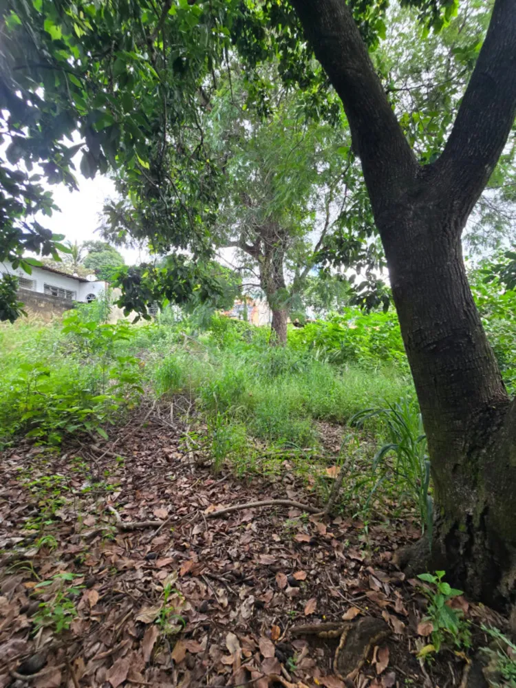 Terreno, 1444 m² - Foto 5