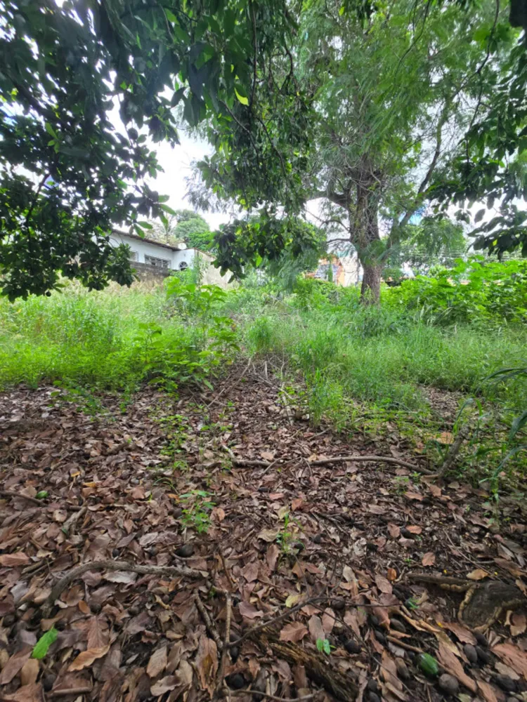 Terreno, 1444 m² - Foto 8