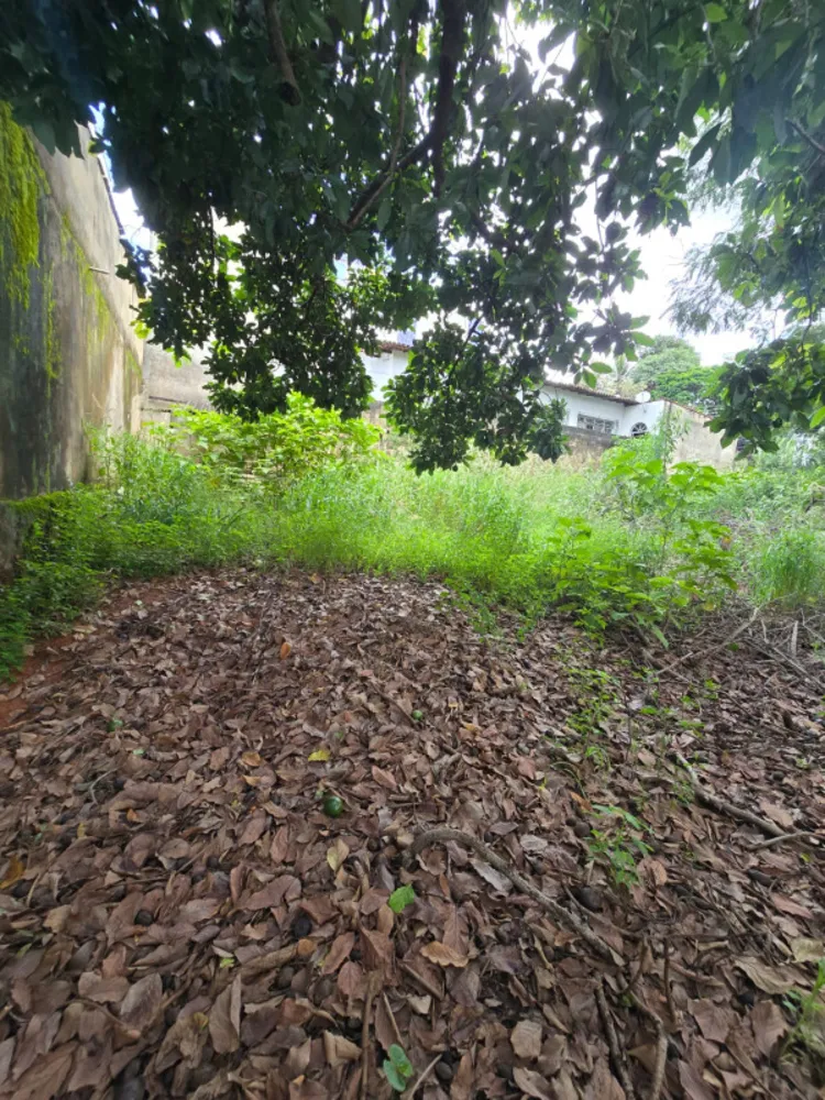 Terreno, 1444 m² - Foto 9