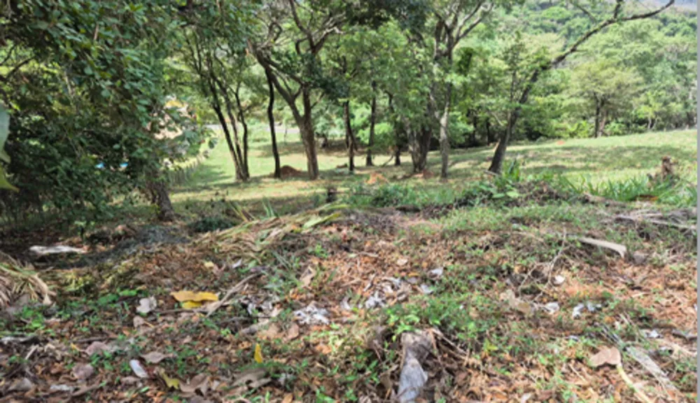 Terreno, 1000 m² - Foto 3