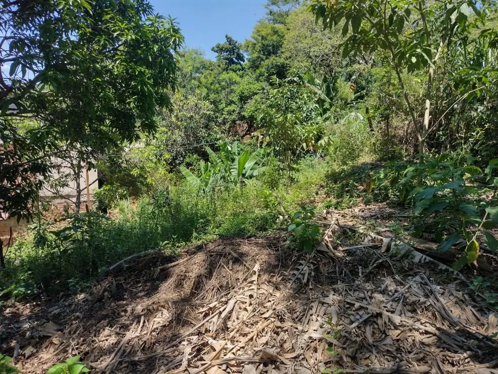 Terreno, 487 m² - Foto 6