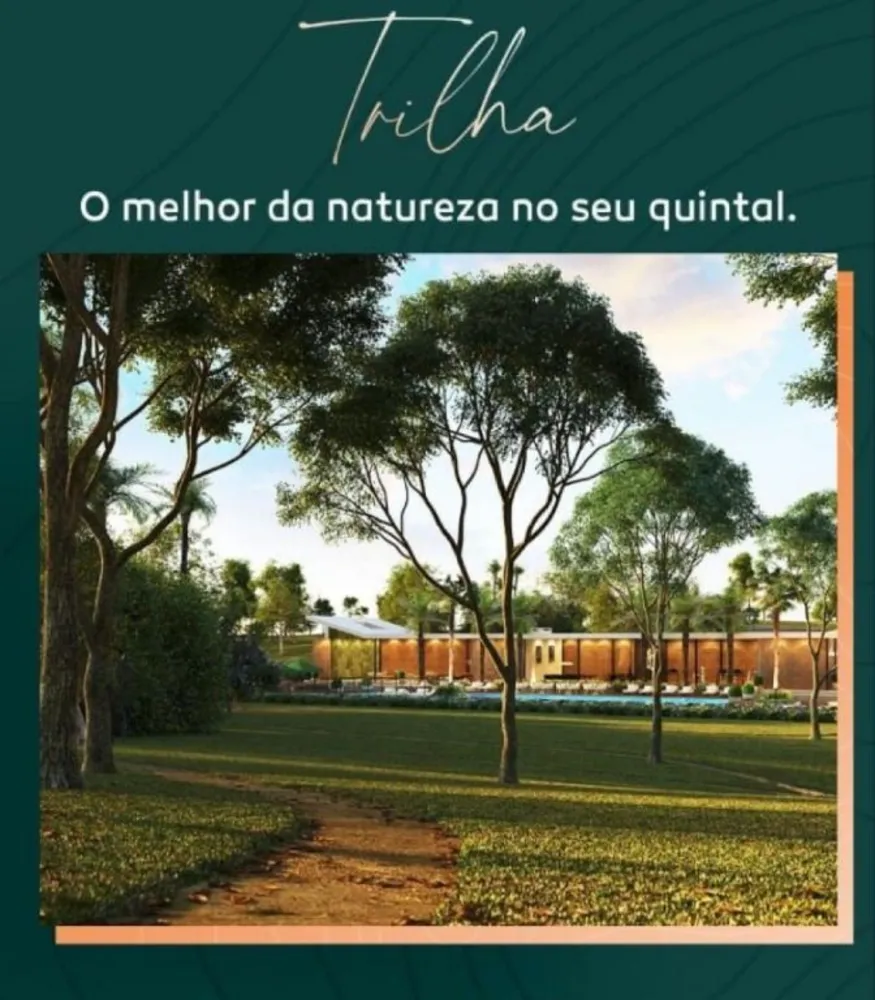 Terreno - Foto 6