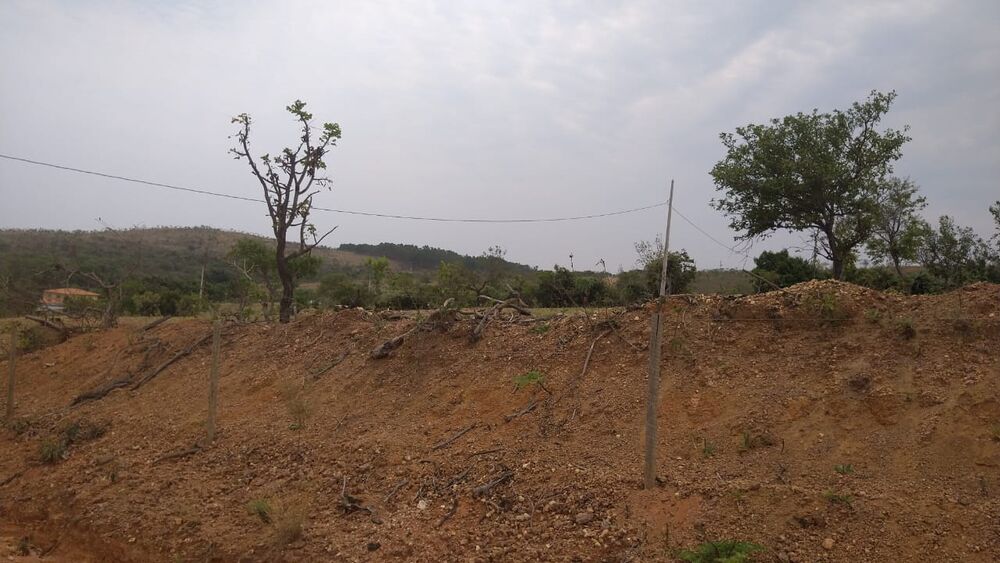 Chácara à venda com 1 quarto, 10000m² - Foto 9