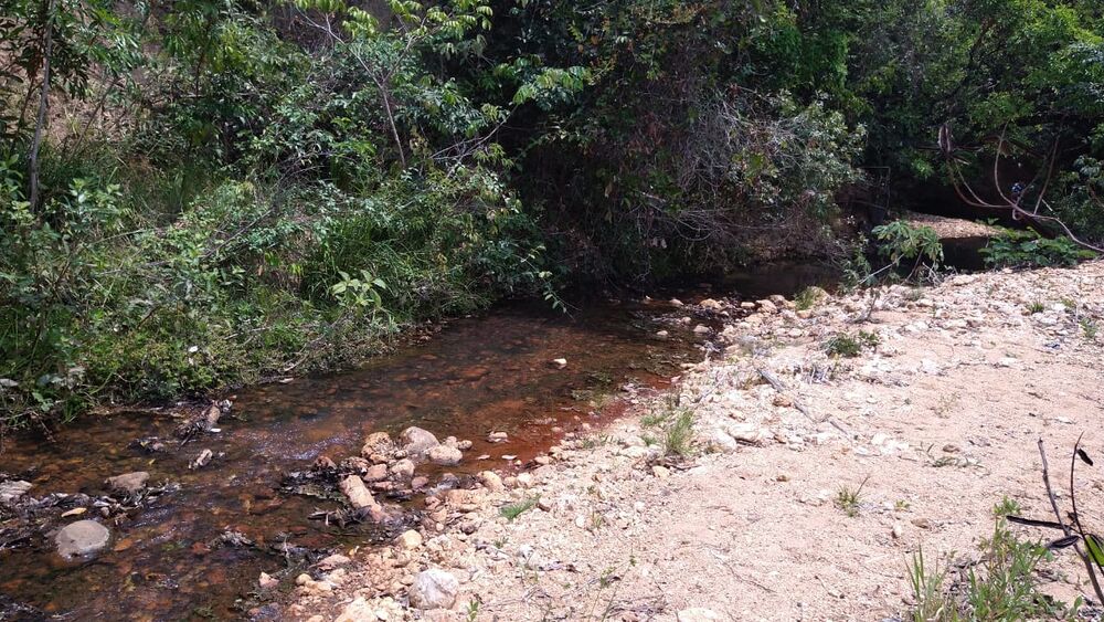 Chácara à venda com 1 quarto, 10000m² - Foto 12
