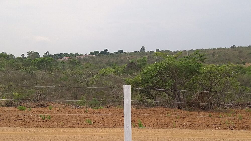 Chácara à venda com 1 quarto, 10000m² - Foto 2