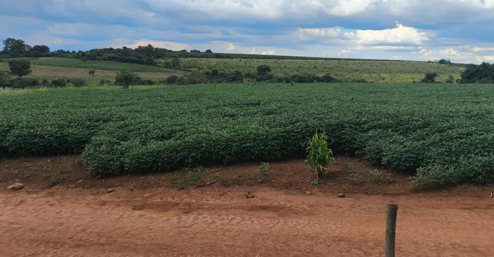 Fazenda, 114 hectares - Foto 7