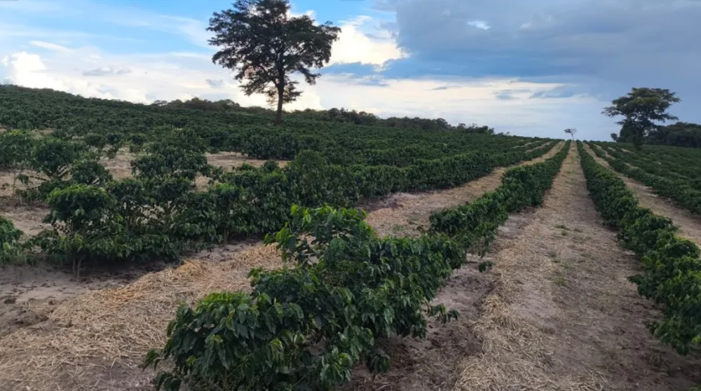 Fazenda, 114 hectares - Foto 2