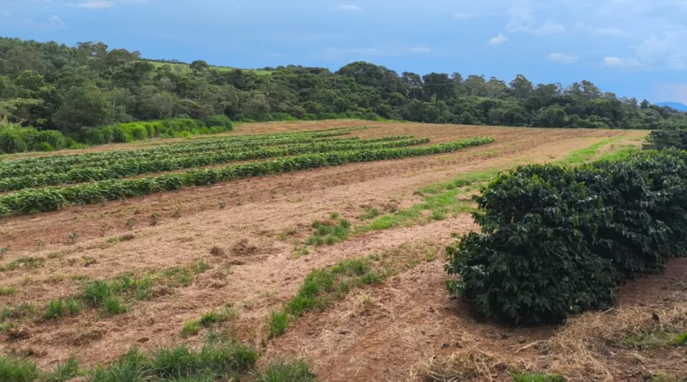 Fazenda, 114 hectares - Foto 4