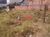 Terreno, 300 m² - Foto 4