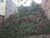 Terreno, 554 m² - Foto 3