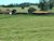 Fazenda, 170 hectares - Foto 1