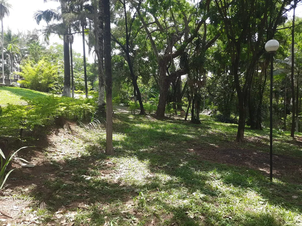Casa, 6 quartos, 500 m² - Foto 12