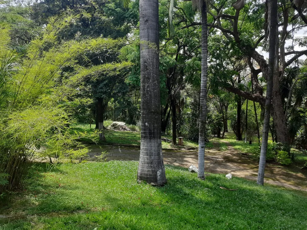 Casa, 6 quartos, 500 m² - Foto 6