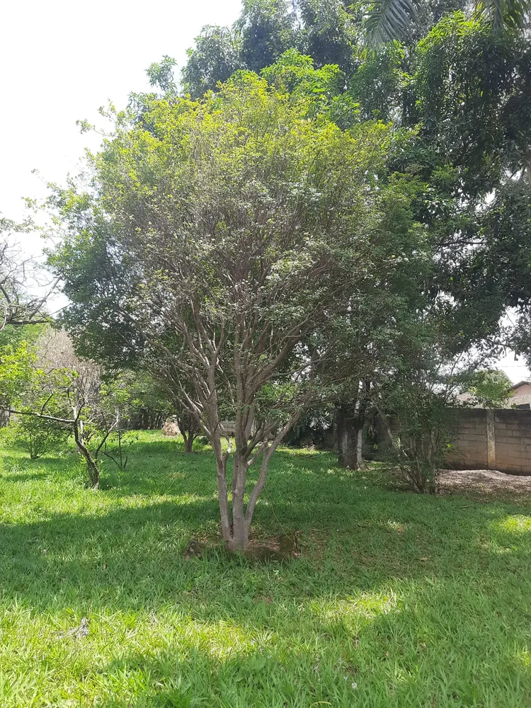 Casa, 6 quartos, 500 m² - Foto 8