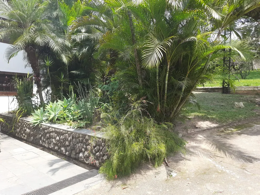 Casa, 6 quartos, 500 m² - Foto 7