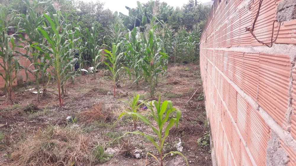 Terreno, 180 m² - Foto 2