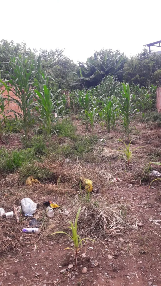 Terreno, 180 m² - Foto 4