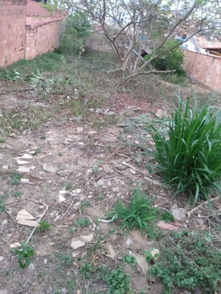 Terreno, 387 m² - Foto 1
