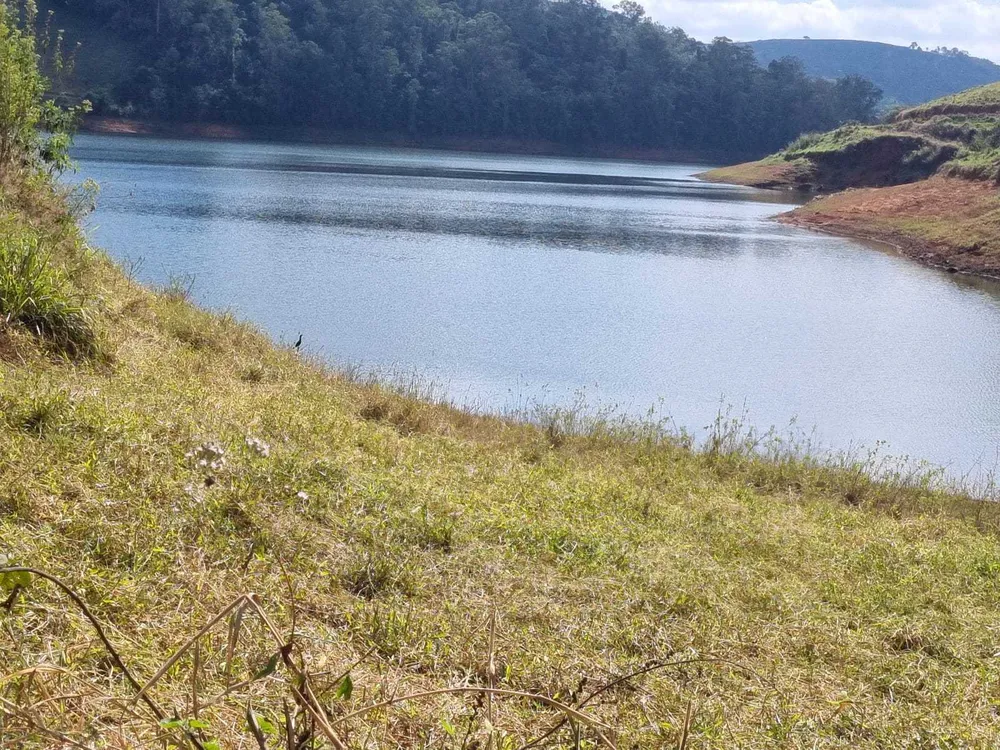 Fazenda, 226 hectares - Foto 4